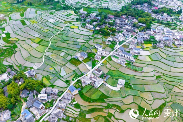 �����F��л�Ϫ�^(q��)�����������W(w��ng)ӛ�� Ϳ���z